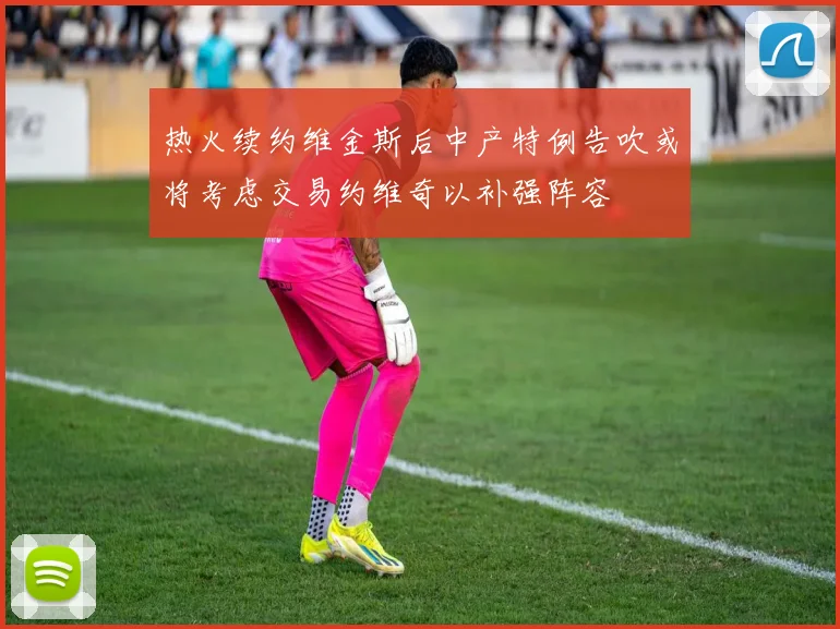 热火续约维金斯后中产特例告吹或将考虑交易约维奇以补强阵容