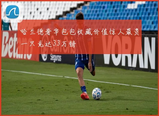 哈兰德奢华包包收藏价值惊人最贵一只竟达33万镑