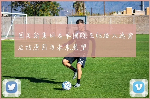 国足新集训名单揭晓王钰栋入选背后的原因与未来展望